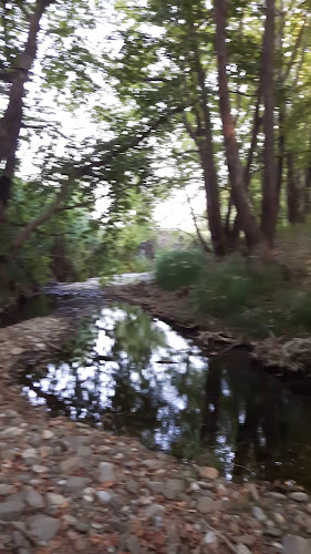 Παραδοσιακό Καφενείο " Η Καραγκούνα "