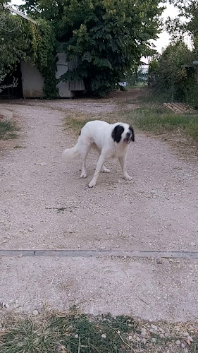 Ταβέρνα ΤΟ ΑΥΛΑΚΙ - Γαστρονομία και φιλοξενία