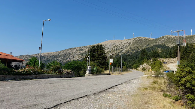 Ανεμοδαρμένο Διάσελο - Πλάτανος