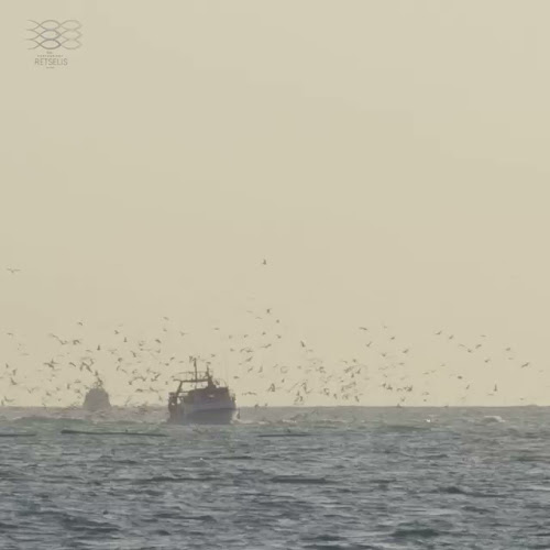 Opinii despre Retselis Restaurant în Νέα Μηχανιώνα - Γαστρονομία και φιλοξενία