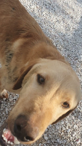 Comentarii opinii despre Zeus Local Products