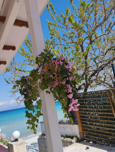 Korali Seafood Restaurant - Γαστρονομία και φιλοξενία