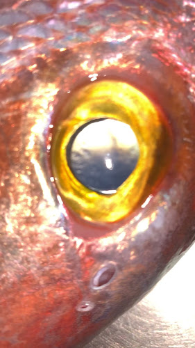 Ηροδότου 63, Νέα Αλικαρνασσός 716 01