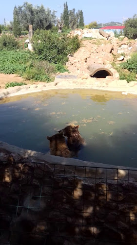 Opinii despre Zoo Café Restaurant în Σπάτα - Γαστρονομία και φιλοξενία