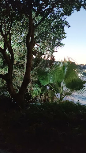 Ατσάχας - Αρμενιστής