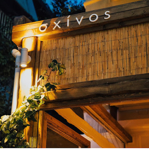 Σχίνος Μπιστρό