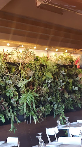 Opinii despre El Toro Steak House în Ρόδος - Γαστρονομία και φιλοξενία