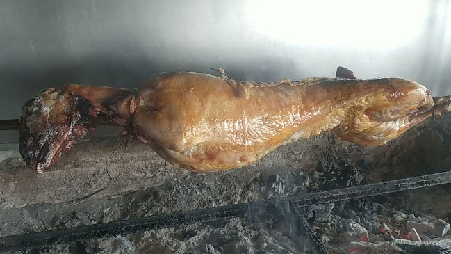 Ζωοδόχο πηγή, Ζωοδόχος Πηγή 501 00