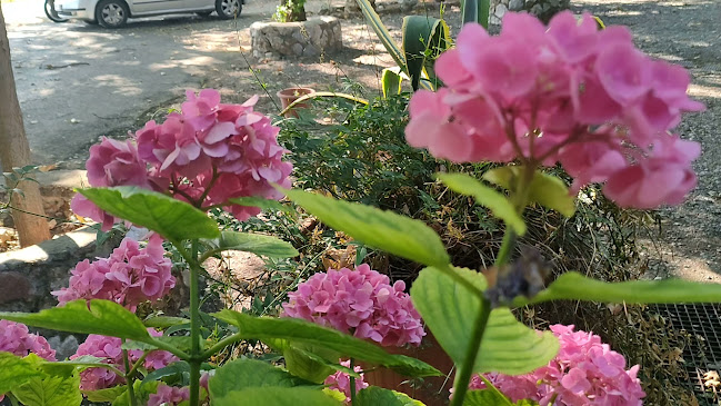 Εξοχικό Κέντρο «ο Πλάτανος»