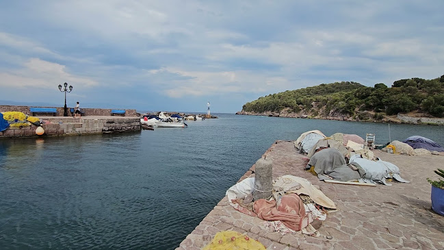 Η ΜΟΥΡΙΑ ΤΟΥ ΜΥΡΙΒΗΛΗ - Σκάλα Συκαμινέας