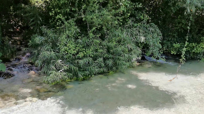 Αρτοποιειο Τσιρώνης - ΣΟΥΛΙΟΥ