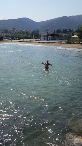 ΙΠΠΟΚΑΜΠΟΣ - Νέες Παγασές