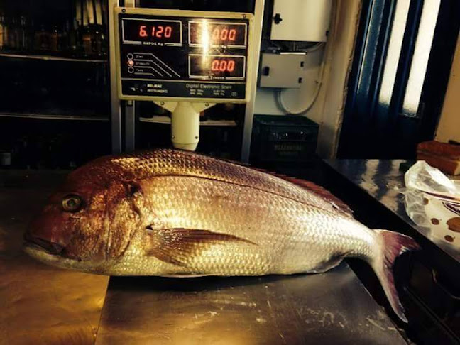 Ψαροταβέρνα Κυκλάδες - Γαστρονομία και φιλοξενία