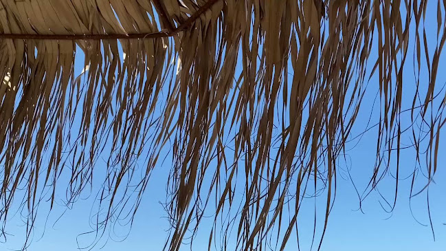 Opinii despre Omilos beach restaurant în Κρωτήρι - Γαστρονομία και φιλοξενία