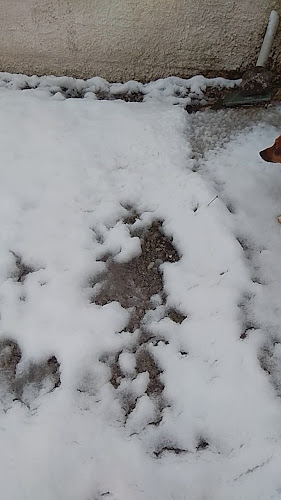 Ταβέρνα "ΠΛΑΤΑΝΙΑ"