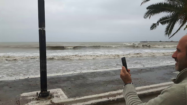 Πιτσαρία ΒΕΝΕΤΙΑ - Πεταλίδι