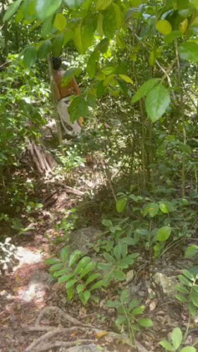 Perdika, Perdika, Aegina 180 10