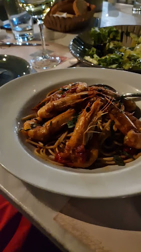 Comentarii opinii despre Ostria