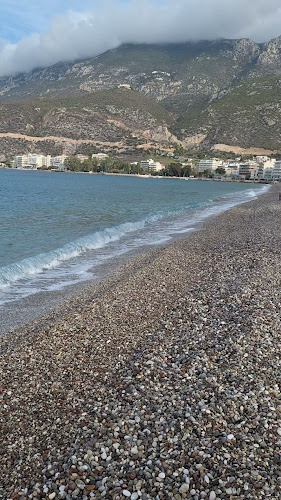 Comentarii opinii despre La Playa