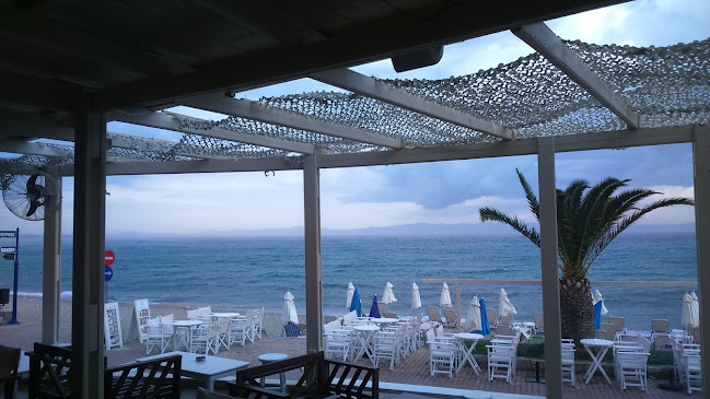 Comentarii opinii despre Mougre - Lounge Bar & Food