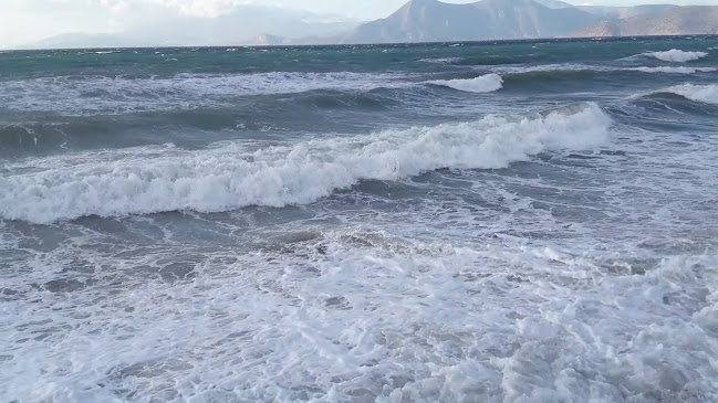 Kelsos - Αλεποχώρι