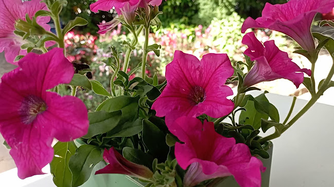 Comentarii opinii despre ️ KOZMOS