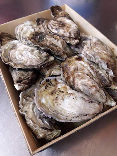 Opinii despre Ventura Tavern în Πρέβεζα - Γαστρονομία και φιλοξενία