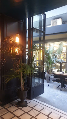 Comentarii opinii despre El Patron