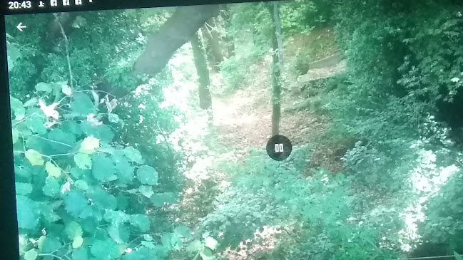 Εστιατόριο "Οι Μύλοι" - Γαστρονομία και φιλοξενία