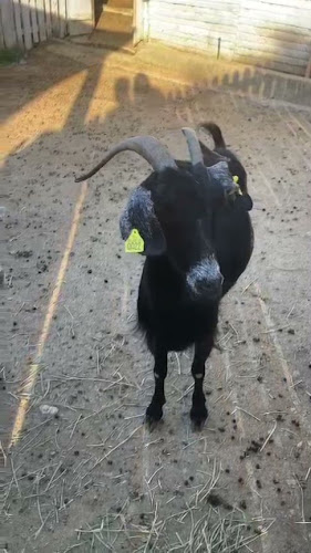 Αγρόκτημα Πλατανόρεμα - Γαστρονομία και φιλοξενία