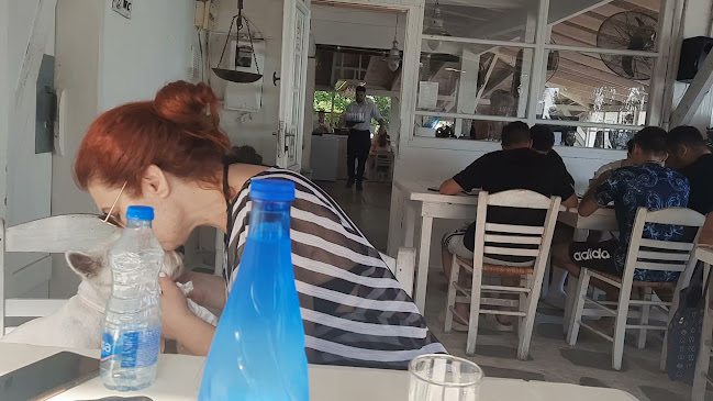 Opinii despre Άθος în Νέα Προποντίδα - Γαστρονομία και φιλοξενία