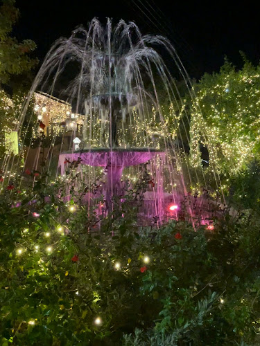 Comentarii opinii despre Il Trovatore