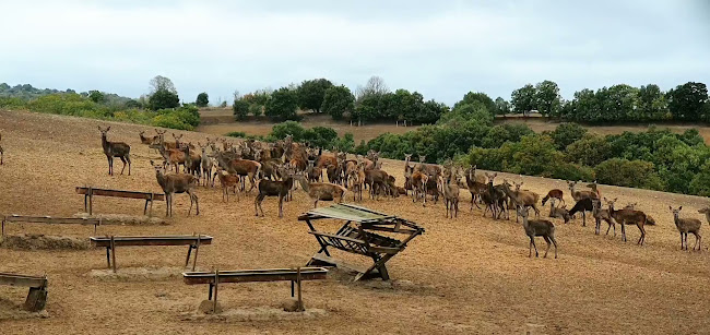 Pentalofos Trigono, Πεντάλοφος 680 07