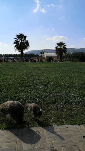 Zoo Café Restaurant