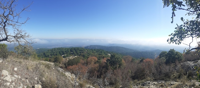 Επαρχιακή οδός, Δαδιά 684 00