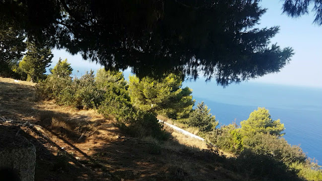 Ταβέρνα Εστιατόριο Ιόνιο - Αθάνι