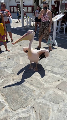 Kadena - Γαστρονομία και φιλοξενία