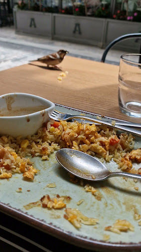 Opinii despre HANOI ATHENS - AUTHENTIC VIETNAMESE FOOD în Αθήνα - Γαστρονομία και φιλοξενία