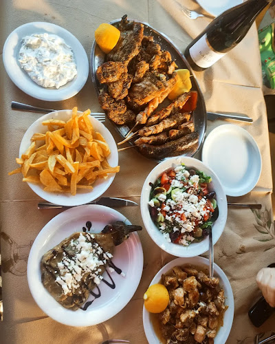 Το Στέκι Του Αρκούδου - Αρκοχώρι