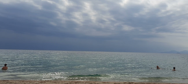 Comentarii opinii despre Don Quijote