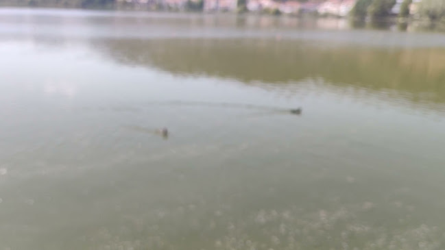 STARDUST - Γαστρονομία και φιλοξενία