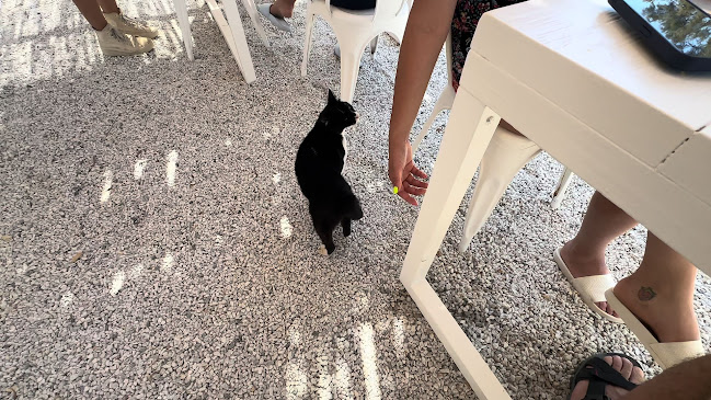 Comentarii opinii despre Palm Beach Paros