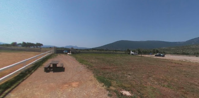 Opinii despre Λίμνη Μουσών în Θήβα - Γαστρονομία και φιλοξενία