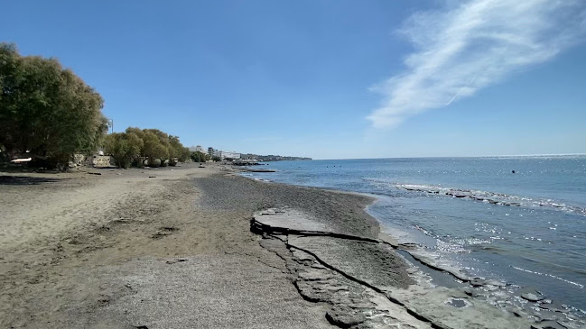 Waikiki Coffee House - Γαστρονομία και φιλοξενία