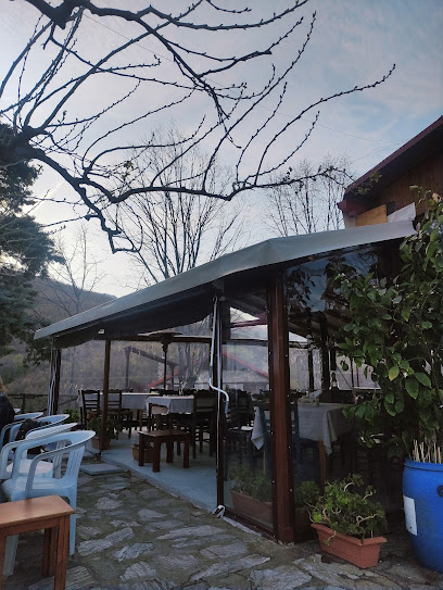 Το Στέκι Του Αρκούδου