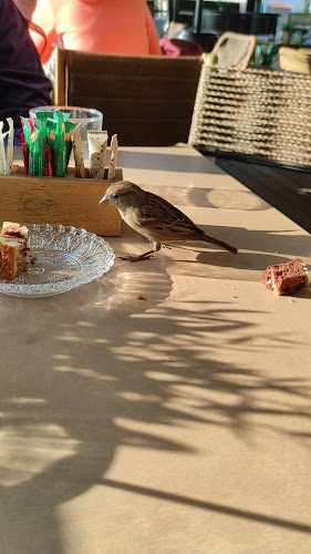 Comentarii opinii despre Luuma