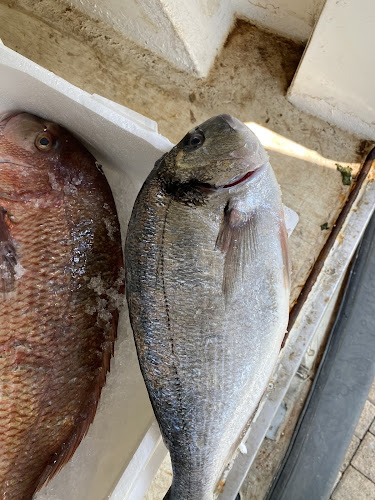 Παραλία, Παραλιακός, Κάλαμος 190 15