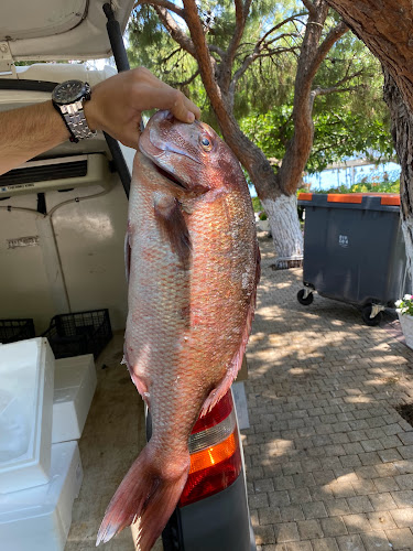 Comentarii opinii despre Ψαροταβέρνα Νέα Ζωή Πέππας