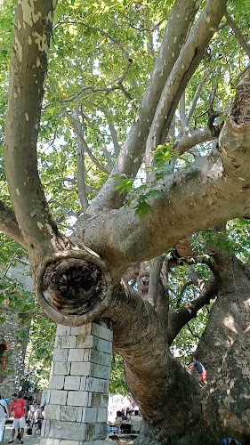 ΠΑΡΑΔΕΙΣΟΣ Ταβέρνα
