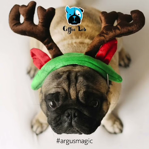 CoffeeLab Δάφνη - Δάφνη